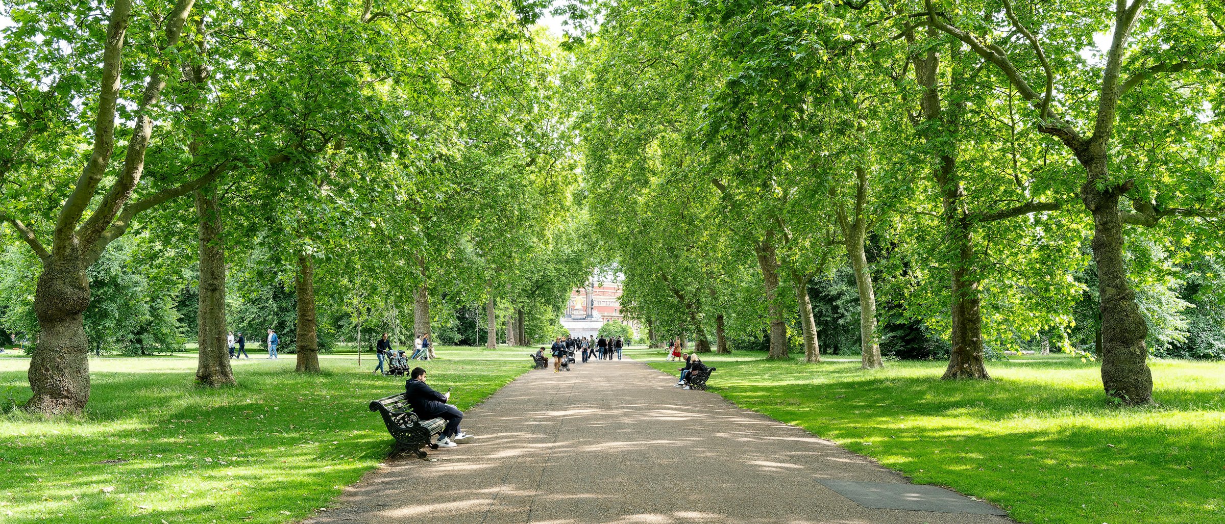 Tree-lined public park with people enjoying the green space
